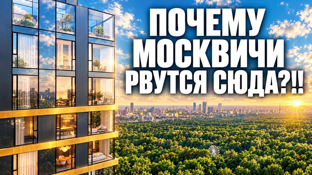 Отзыв о 