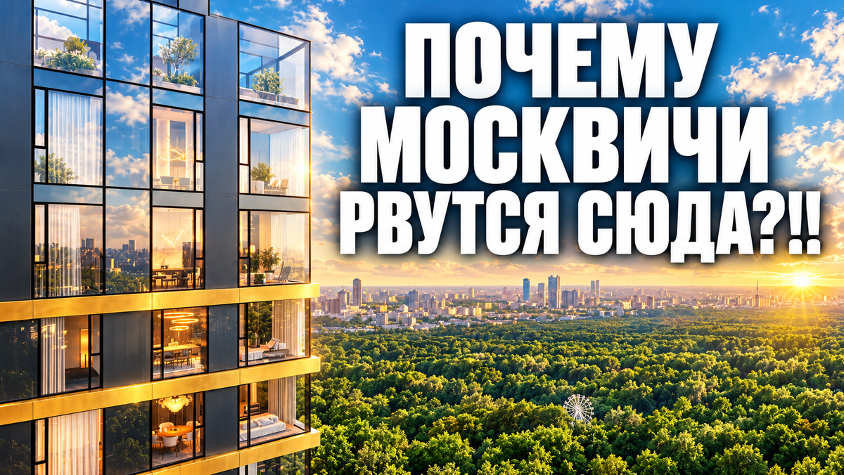 Отзыв о 