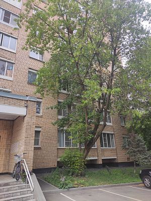Купить квартиру г Москва, 1-й Самотёчный пер, д 2 стр 1 34000000 рублей