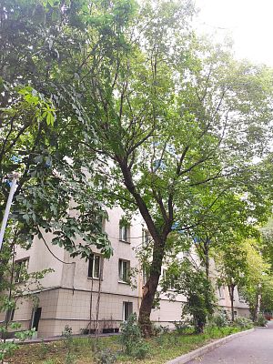 Купить квартиру г Москва, 2-й Самотёчный пер, д 2/4 16900000 рублей