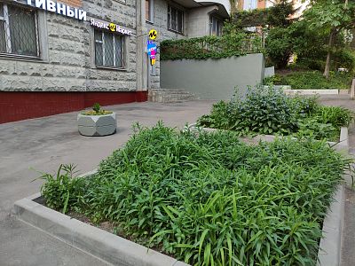 Купить квартиру г Москва, Черноморский б-р, д 10 к 1 24500000 рублей