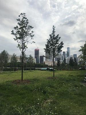 Купить квартиру г Москва, Береговой пр-д, д 1А 41000000 рублей