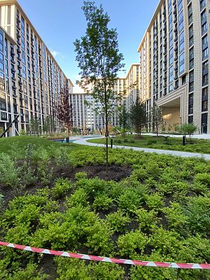 Купить квартиру г Москва, ул Винницкая, д 8/1 28000000 рублей