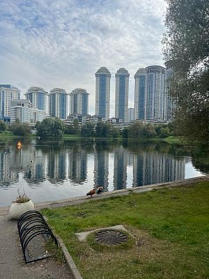 Купить квартиру г Москва, ул Улофа Пальме, д 7 175000000 рублей