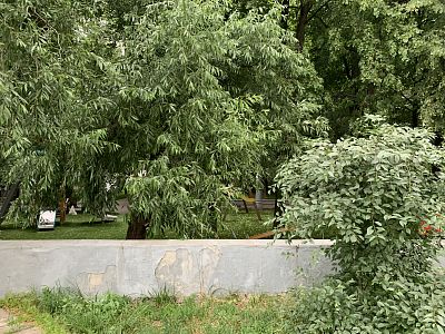 Купить квартиру г Москва, ул Чертановская, д 43 к 4 24500000 рублей