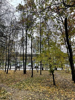 Купить квартиру г Москва, Рублёвское шоссе, д 127 13490000 рублей