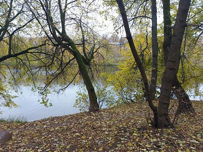 Купить квартиру г Москва, Филёвский б-р, д 24 к 3 21000000 рублей