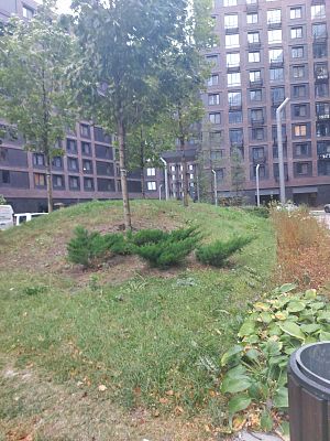 Купить квартиру г Москва, Береговой пр-д, д 1Б 32000000 рублей
