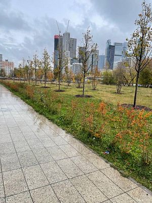 Купить квартиру г Москва, Береговой пр-д, д 1Б 24550000 рублей