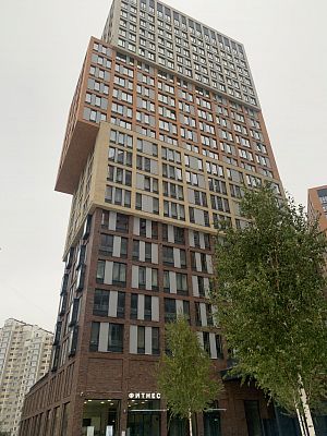 Купить квартиру г Москва, Рублёвское шоссе, д 101 31300000 рублей