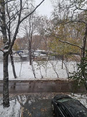 Купить квартиру г Москва, ул Павла Андреева, д 7 13100000 рублей
