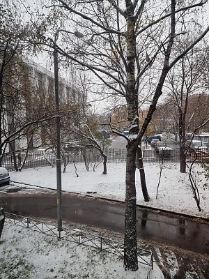 Купить квартиру г Москва, ул Павла Андреева, д 7 13100000 рублей