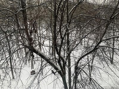 Купить квартиру г Москва, ул Профсоюзная, д 136 к 4 9500000 рублей