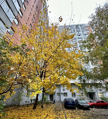Купить квартиру г Москва, ул Истринская, д 8 к 1 17100000 рублей