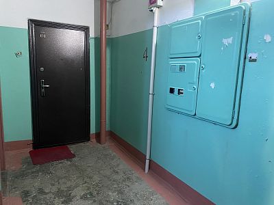 Купить квартиру г Хабаровск, ул Стрельникова, д 6 8100000 рублей