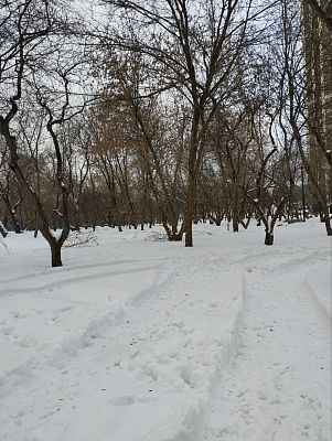 Купить квартиру г Москва, Аминьевское шоссе, д 4Д к 1 21900000 рублей
