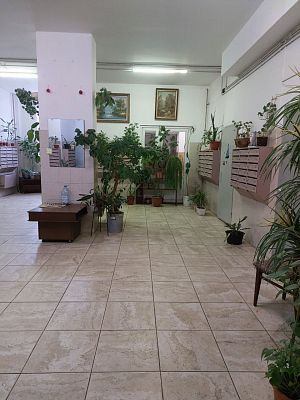 Купить квартиру г Москва, ул Веерная, д 4 к 1 24900000 рублей