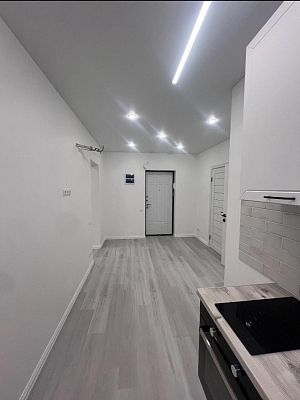Купить квартиру г Сочи, пер Трунова, д 6 к 3 16800000 рублей