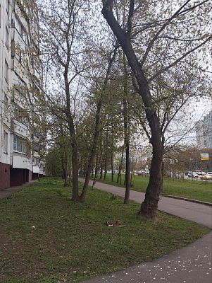 Купить квартиру г Москва, Мичуринский пр-кт, д 54 к 1 20000000 рублей