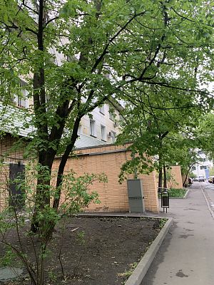 Купить квартиру г Москва, ул Мытная, д 62 18405000 рублей