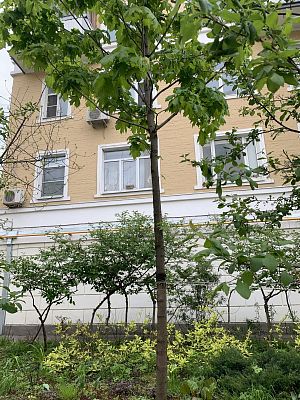 Купить квартиру г Москва, ул Большая Серпуховская, д 31 к 1 26000000 рублей