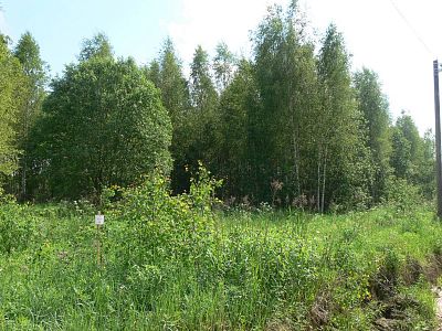 Купить земельный участок Тверская область, Конаковский муниципальный округ, коттеджный посёлок Усадьба в Завидово 2800000 рублей