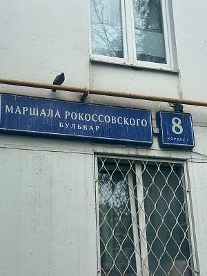 Купить квартиру г Москва, б-р Маршала Рокоссовского, д 8 к 1 10800000 рублей