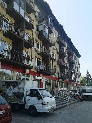 Купить квартиру г Сочи, село Орел-Изумруд, ул Петрозаводская, д 32 7000000 рублей