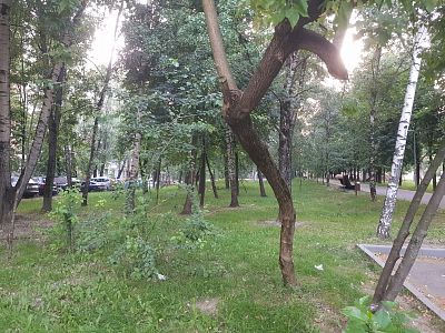 Купить квартиру г Москва, Коровинское шоссе, д 15 к 1 12700000 рублей
