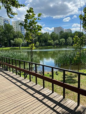 Купить квартиру г Москва, ул Красных Зорь, д 59Б 22900000 рублей