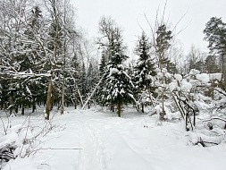 Фото 9. 