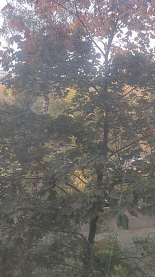 Купить квартиру г Москва, ул Просторная, д 2 17290000 рублей