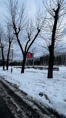 Купить квартиру г Москва, ул Большая Черкизовская, д 5 к 1 11250000 рублей