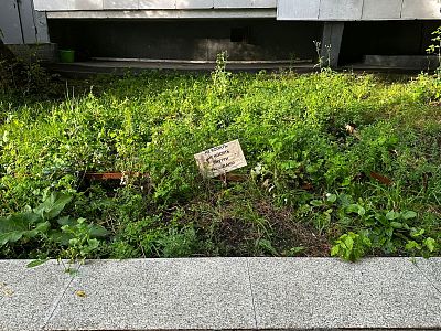 Купить квартиру г Москва, ул Фридриха Энгельса, д 28/30 к 2 11750000 рублей