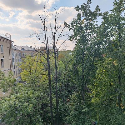 Купить квартиру г Москва, ул Кастанаевская, д 24 73000000 рублей