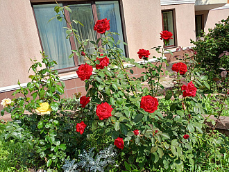 Фото 9