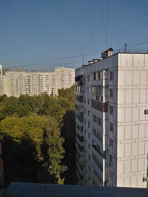 Купить квартиру г Москва, ул Полоцкая, д 31 50000000 рублей