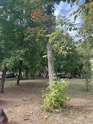 Купить квартиру г Москва, Плетешковский пер, д 12-16 17700000 рублей