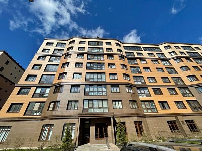 Купить квартиру г Москва, поселение Сосенское, деревня Сосенки, ул Ясеневая, д 5 28500000 рублей
