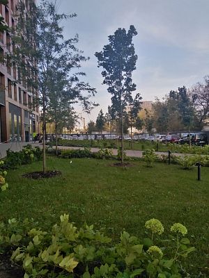 Купить квартиру г Москва, Шелепихинская наб, д 40 к 3 35000000 рублей