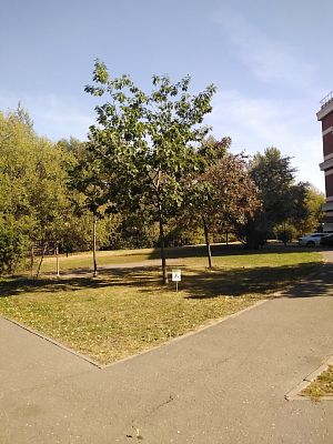 Купить квартиру г Москва, ул Екатерины Будановой, д 5 55299000 рублей
