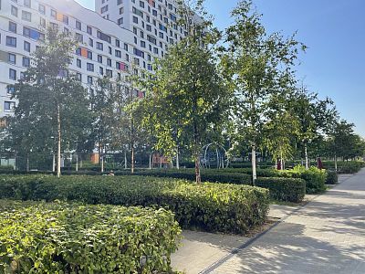 Купить квартиру г Москва, Берёзовая аллея, д 17 к 1 20000000 рублей