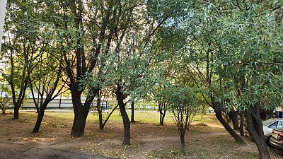 Купить квартиру г Москва, Боровское шоссе, д 32 16900000 рублей
