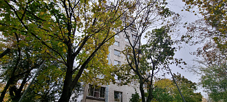 Фото 9