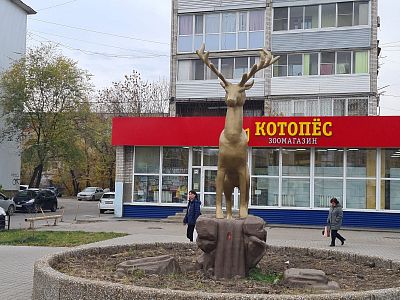 Купить квартиру г Хабаровск, ул Суворова, д 42 7500000 рублей