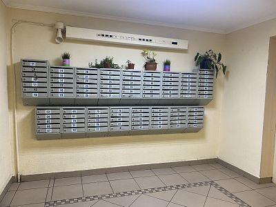 Купить квартиру г Сочи, ул Абрикосовая, д 17 16700000 рублей