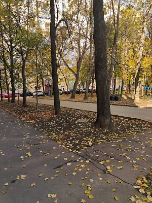 Купить квартиру г Москва, ул Космонавта Волкова, д 3 362400000 рублей