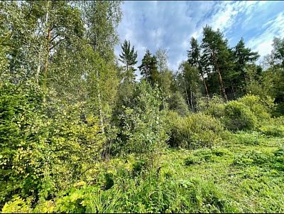Купить дом г Пушкино, тер. СНТ Спутник (деревня Жуковка), д 22 8000000 рублей