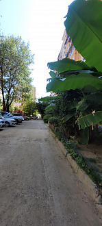 Фото 3