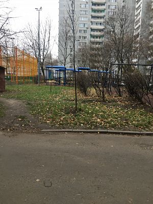 Купить квартиру г Москва, ул Кунцевская, д 13/6 20850000 рублей